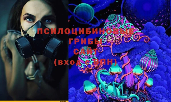 мдпв Липки
