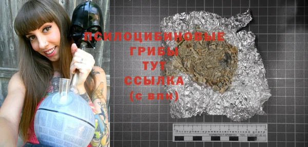 гидра Лагань